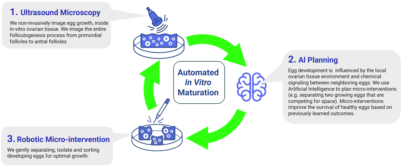 AIM Cycle Diagram